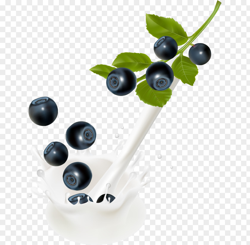 Blueberry Milk Drops Splash Bilberry Clip Art PNG