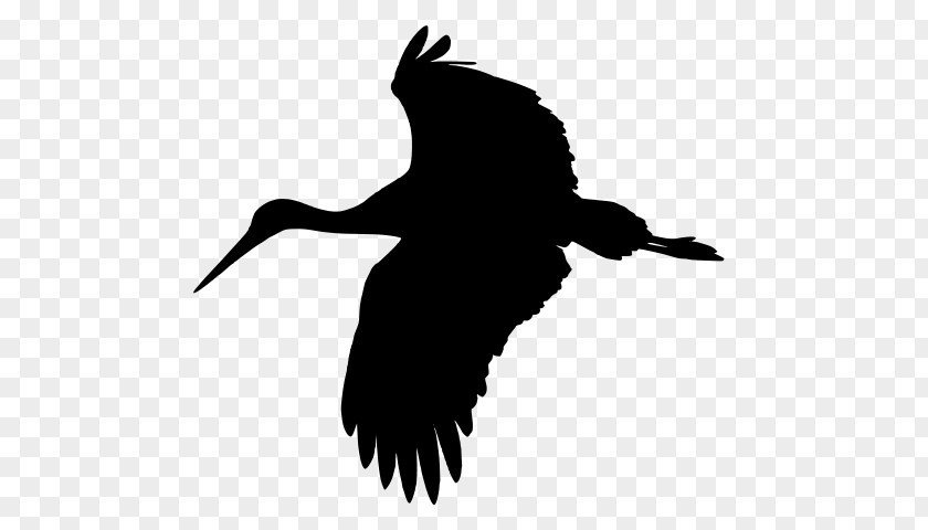 Crane Ibis Bird Beak Wing Silhouette Crane-like PNG