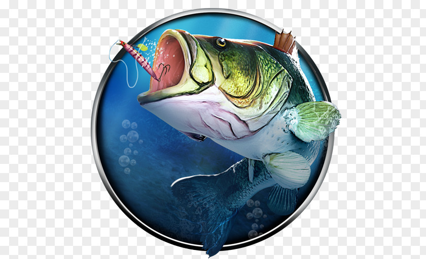 Fishing Clash: Bass 3D. Fish Hunting Games Catch Big Recreational Northern Pike PNG
