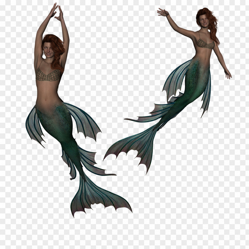 Mermaid Siren Fairy Tale Legendary Creature Mythology PNG