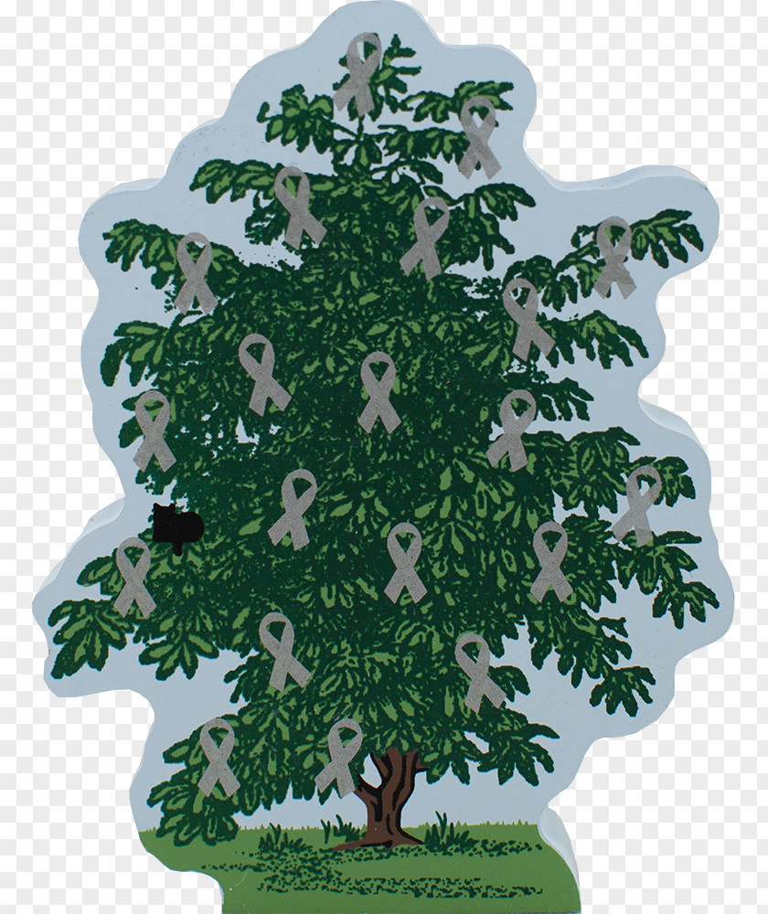 Save Tree Spruce Christmas Ornament Evergreen PNG