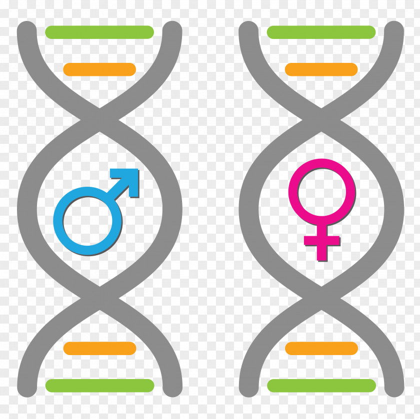 Symbols Gender Symbol Feminism Female Man PNG