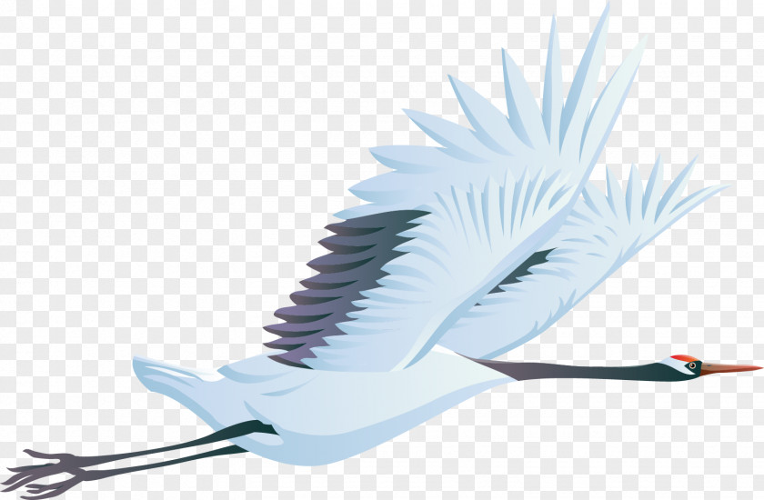 Albatross Bird Crane Clip Art PNG