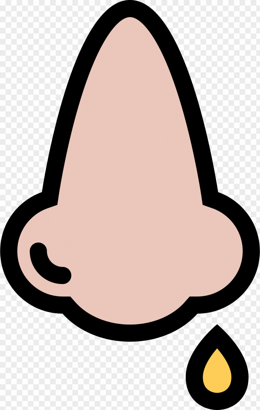 Cartoon Nose Anatomy Of The Human Rhinorrhea Noun Project Icon PNG