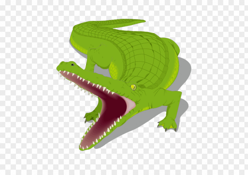 Green Cartoon Crocodile Honey Island Swamp Alligator Clip Art PNG
