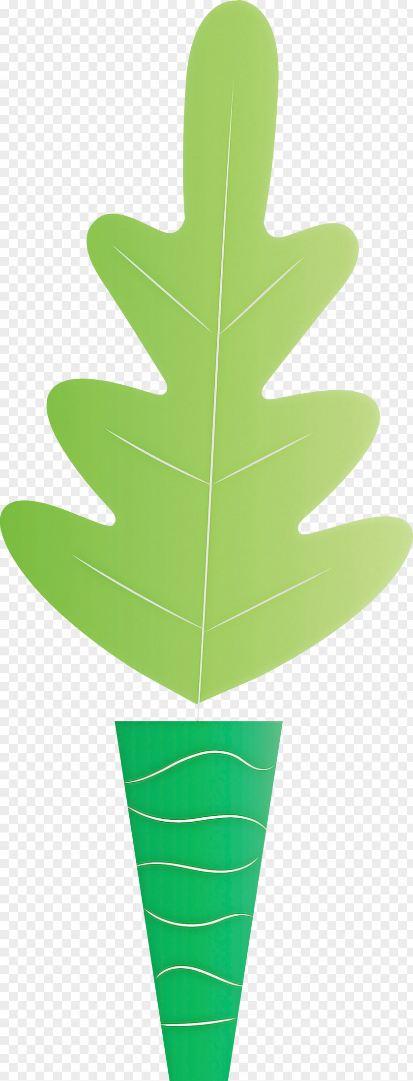 Leaf Plant Stem Geometry Line Angle Distribution PNG
