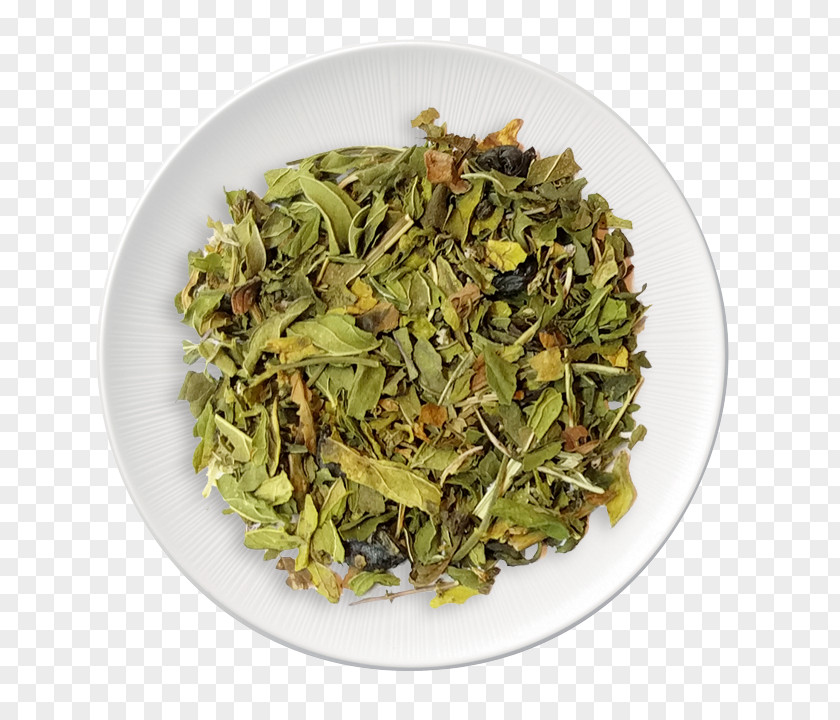 Mint Tea Vegetarian Cuisine Sencha Recipe Food La Quinta Inns & Suites PNG