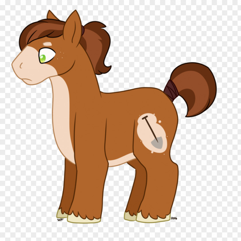 Mustang Pony Foal Colt Mane PNG