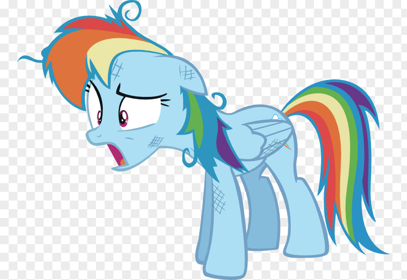 Rainbow My Little Pony: Friendship Is Magic Fandom Dash PNG