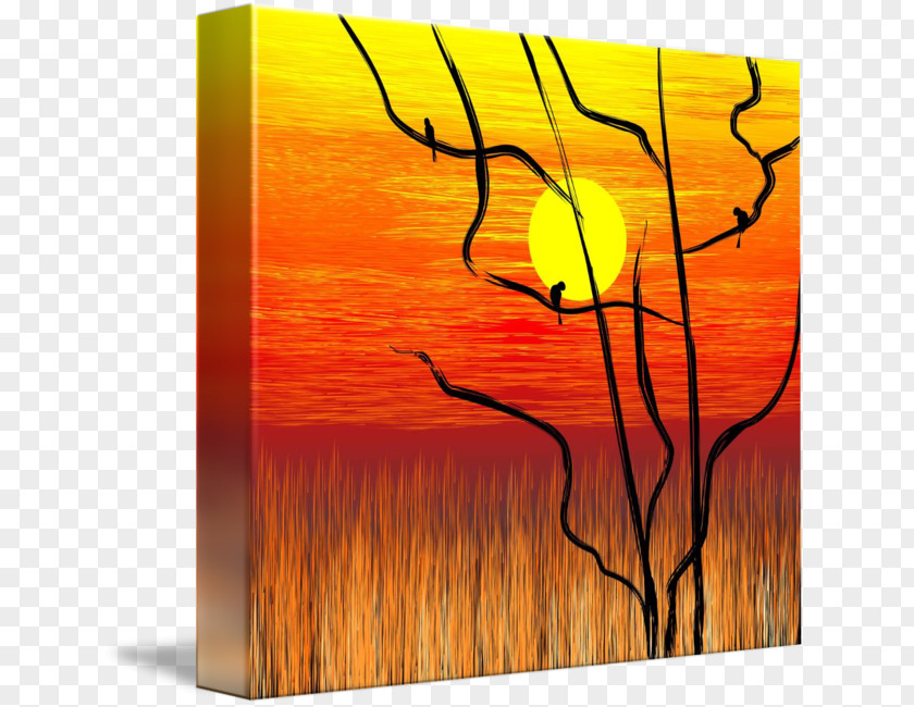 Sunset Digital Painting Drawing Photography PNG