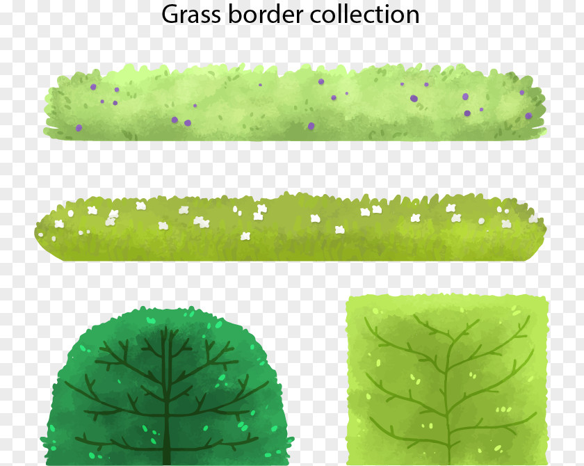 Watercolor Grass Borders Painting Graphic Design PNG