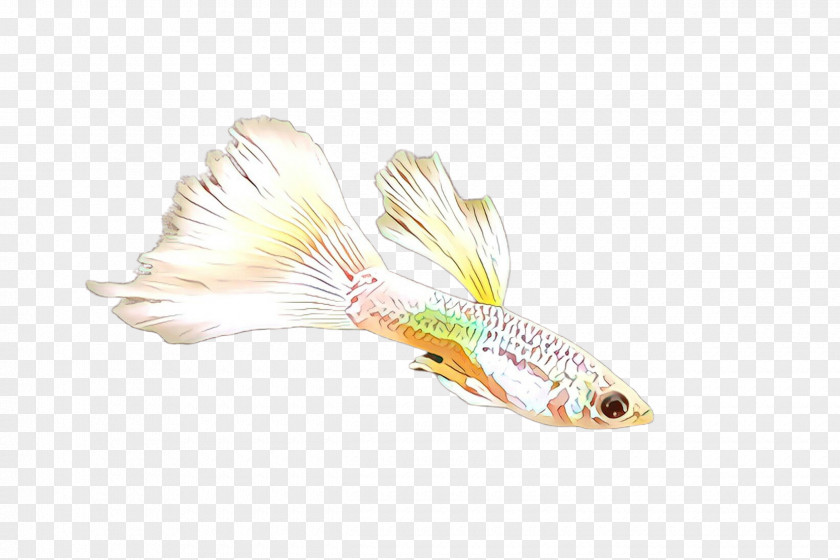 Yellow Fishing Lure Spoon Tail Bait PNG