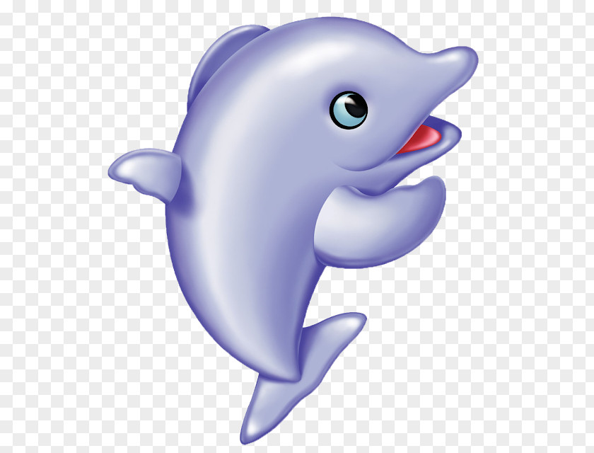 Dolphin Clip Art Computer File Image PNG