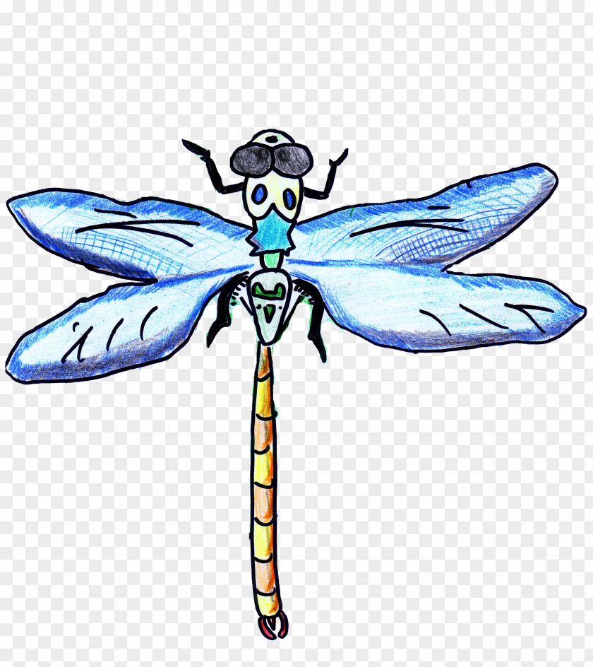 Dragonfly Drawing With Colored Pencils Clip Art PNG