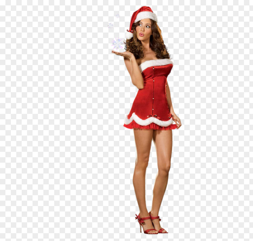 Santa Claus Mrs. Costume Christmas Day Dress PNG