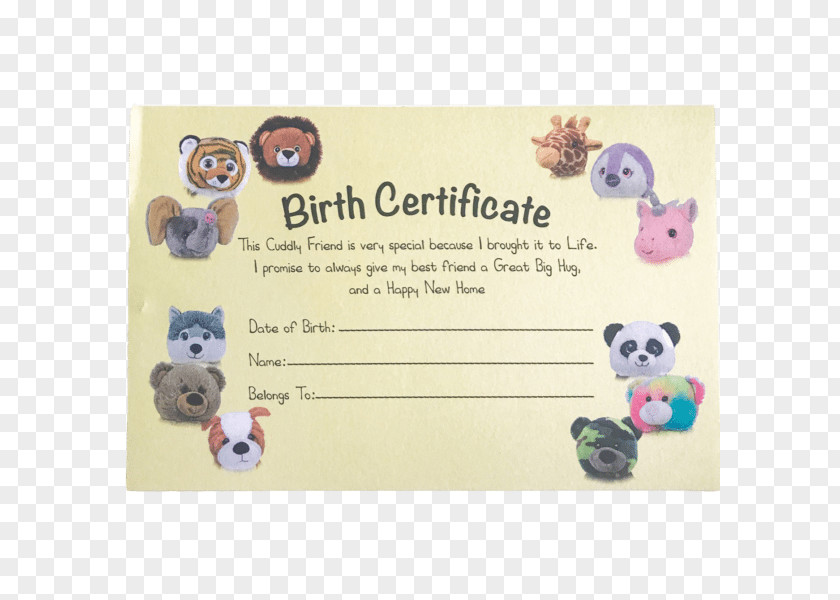 Birth Certificate Home Massachusetts Department Of Public Health Childbirth PNG