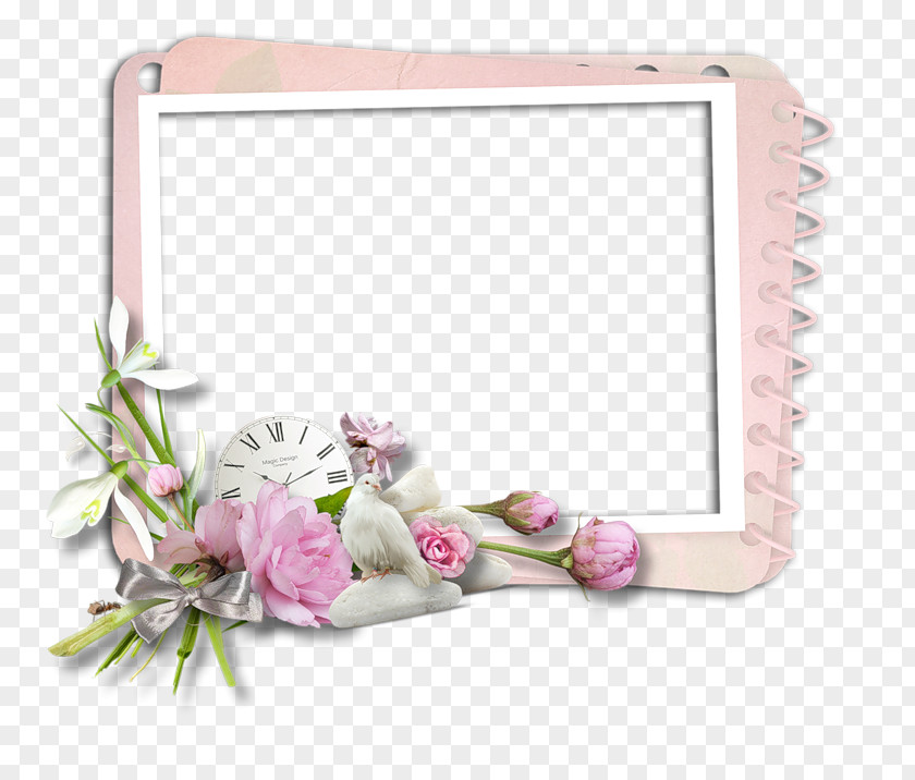 Flower Picture Frames Floral Design Photography PNG