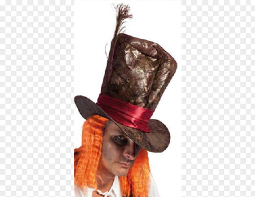 Hat The Mad Hatter Disguise Top PNG