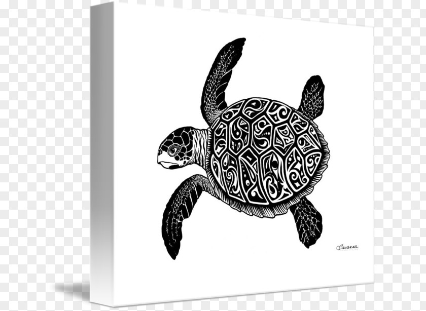 Ink Landscape Material Green Sea Turtle Crush Drawing PNG