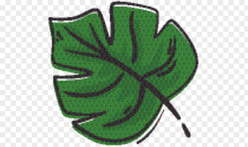 Shamrock Plant Green Leaf Background PNG
