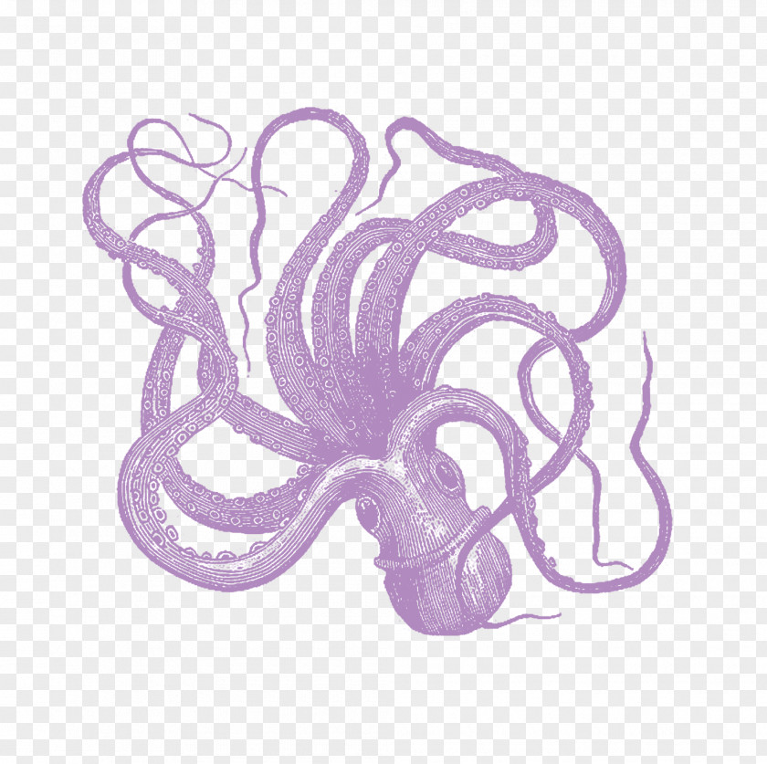 Shower Octopus Douchegordijn Curtain Bathroom PNG