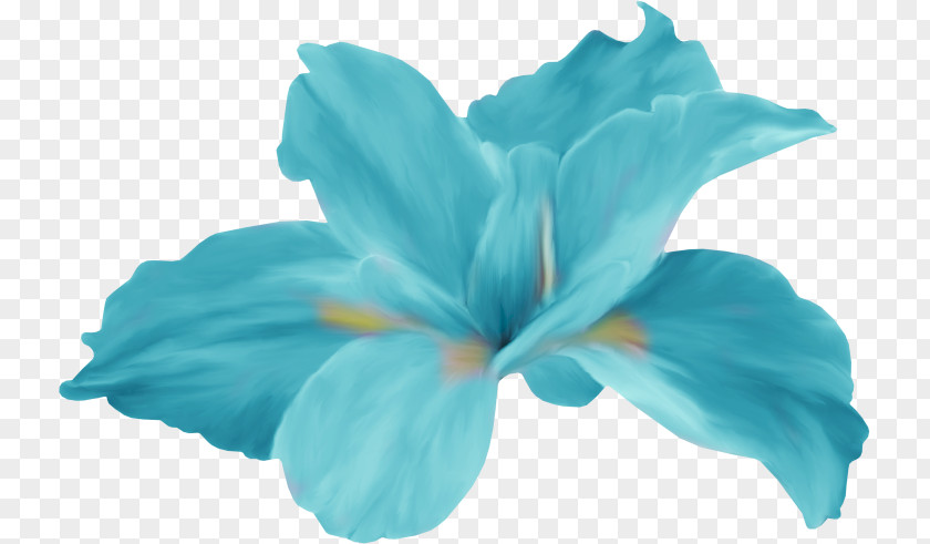 Tiffany Flower Desktop Wallpaper Clip Art PNG