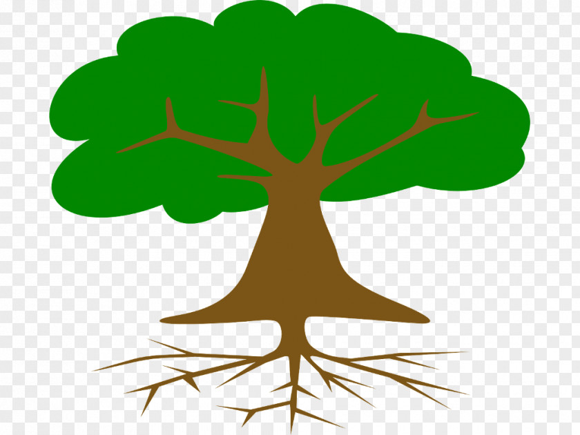 Tree Clip Art Root Openclipart Drawing PNG