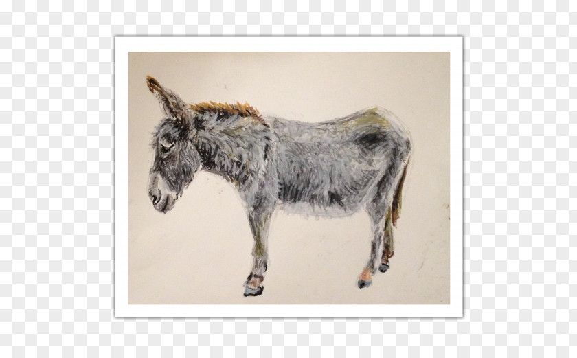 Watercolor Pastel Mule Donkey Fauna Snout Wildlife PNG