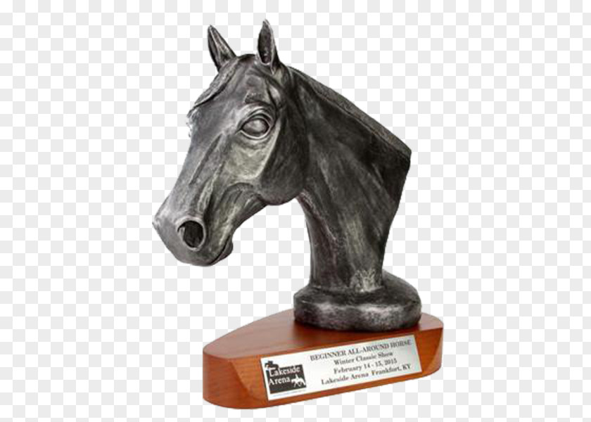World Series Trophy Arabian Horse Mustang Stallion Mane PNG