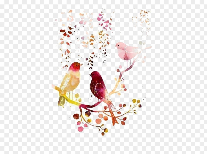Birds Bird Watercolor Painting Drawing Illustration PNG