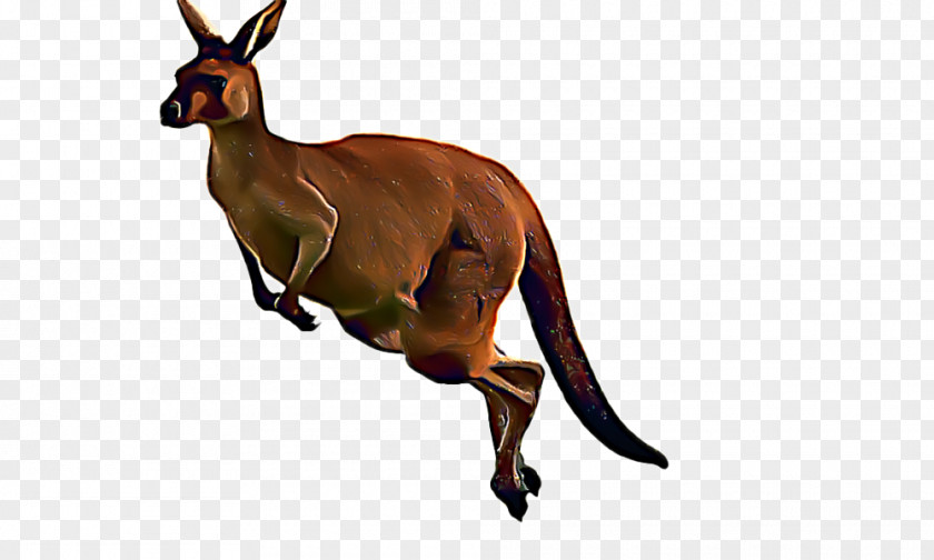 Chamois Wallaby Animal Cartoon PNG