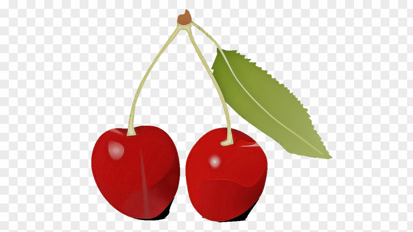 Drupe Flower Cherry Fruit Red Plant Leaf PNG