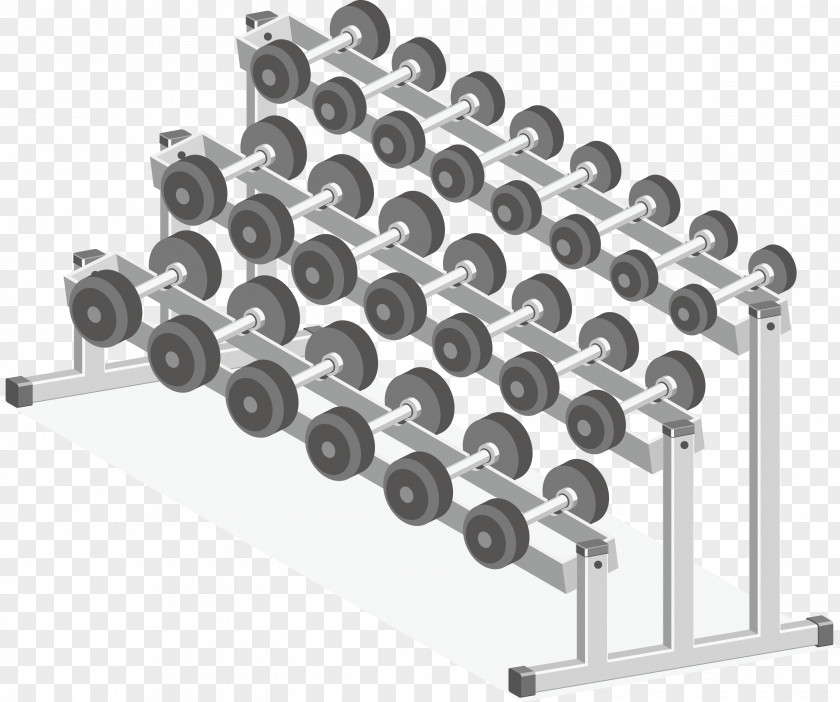 Fitness Equipment Dumbbells Physical Exercise Centre Euclidean Vector Illustration PNG