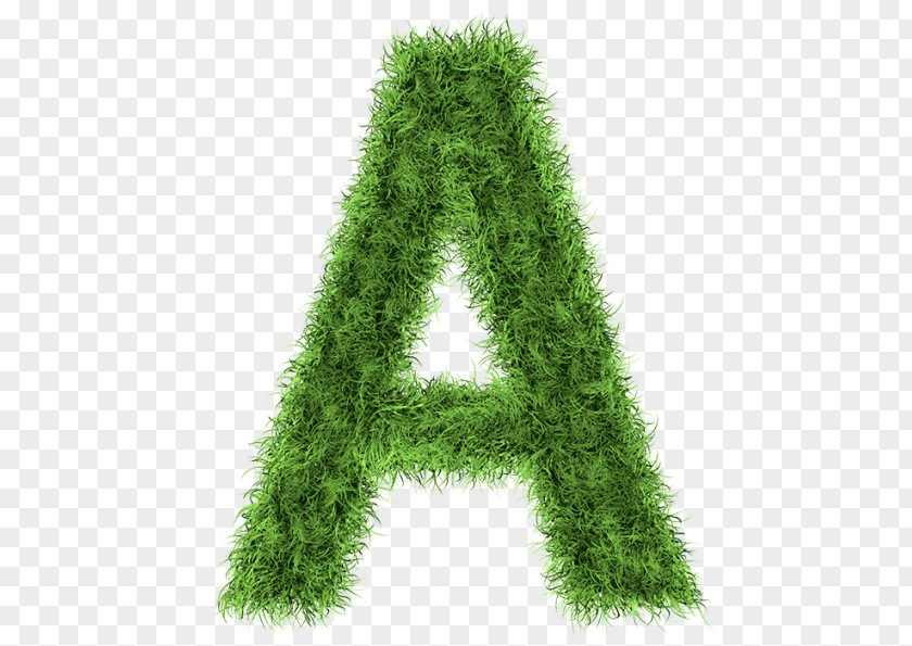 Indesign Letter Stock Photography Alphabet PNG