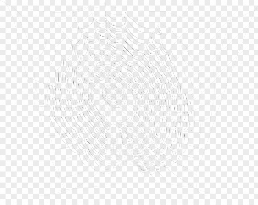 Natural Spider Web Icon White Black Pattern PNG
