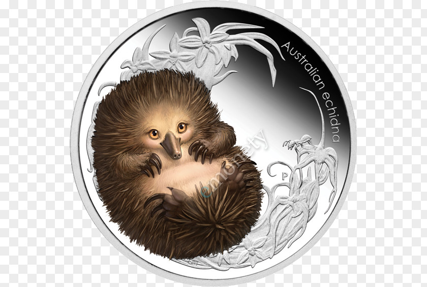 Silver Platypus Anteater Perth Mint Short-beaked Echidna PNG