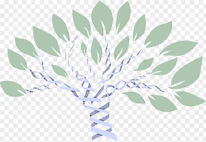 Leaf Green Plant Tree Grass PNG