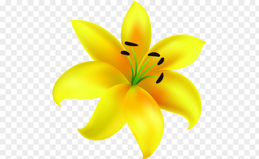 Paper Lilium Yellow Art Flower PNG