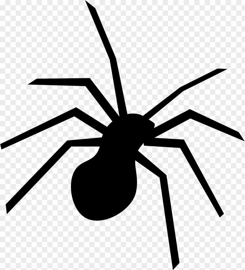 Spider Halloween Clip Art PNG