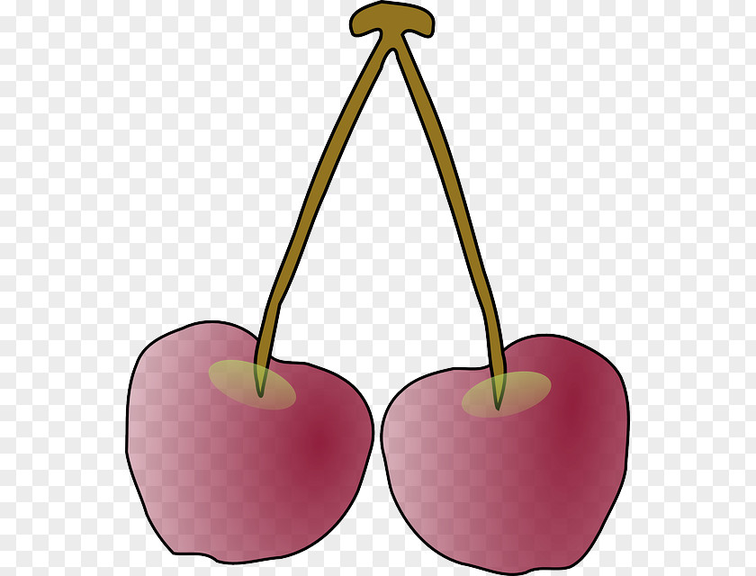 Twig Clip Art Openclipart Image Free Content Cherries PNG
