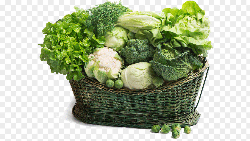 Vegetable Leaf Food Beetroot Diet PNG