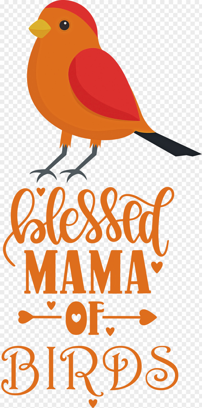 Bird Birds Blessed Mama Of PNG