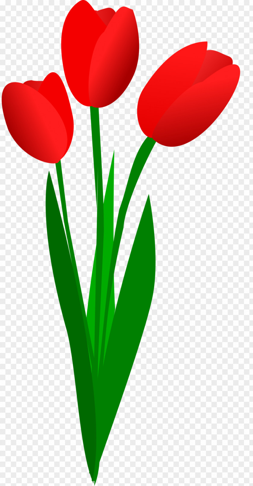 Cliparts Tulip Bouquet Free Content Flower Clip Art PNG