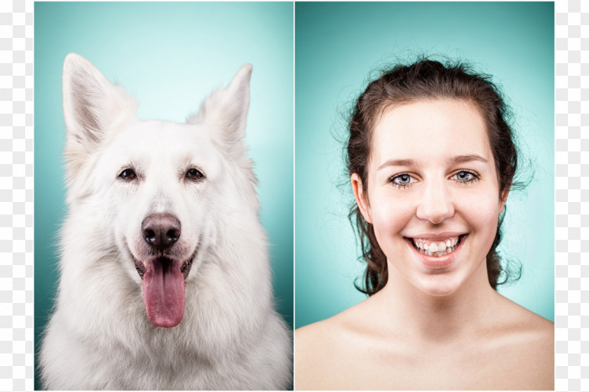 Dog Breed Cat People And Silberbild Studio PNG