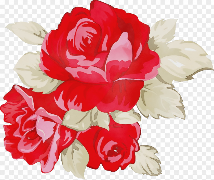 Garden Roses PNG