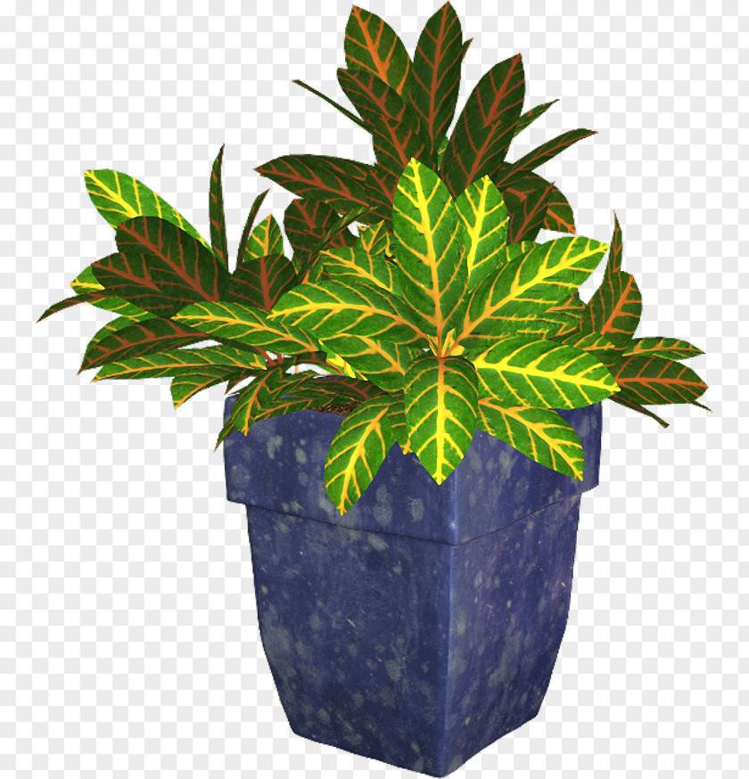 Plant Flowerpot PNG