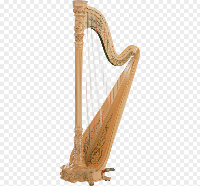 Zq Harp Clip Art Image Musical Instruments PNG