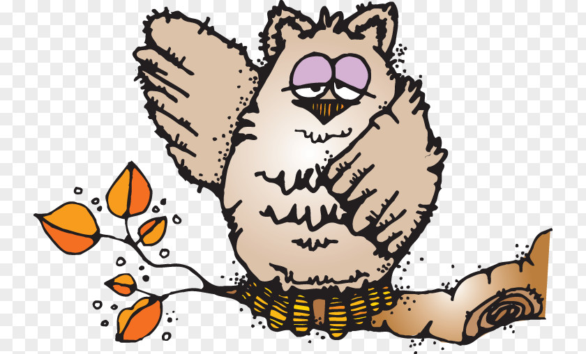 Cat Owl Bird Beak Clip Art PNG