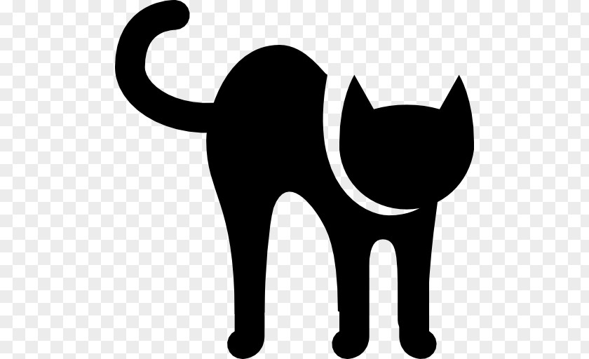Kitten Black Cat Whiskers Domestic Short-haired Sphynx PNG
