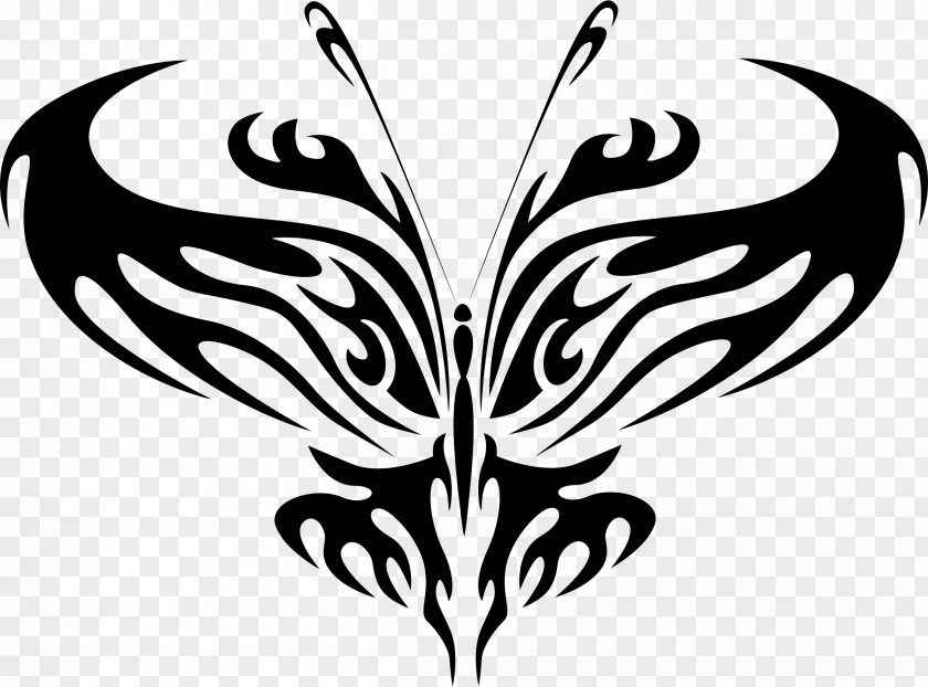 Line Art Butterfly Clip PNG